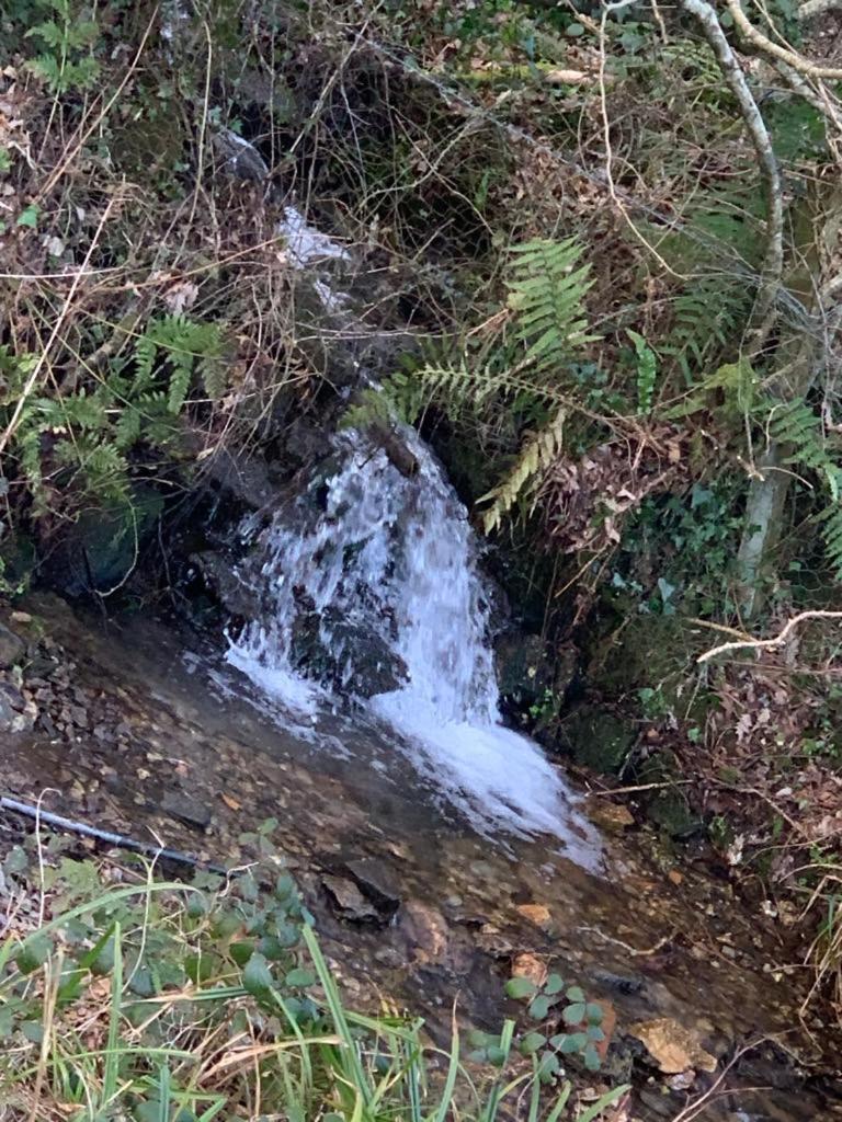 Brook Lodge Liskeard Bagian luar foto
